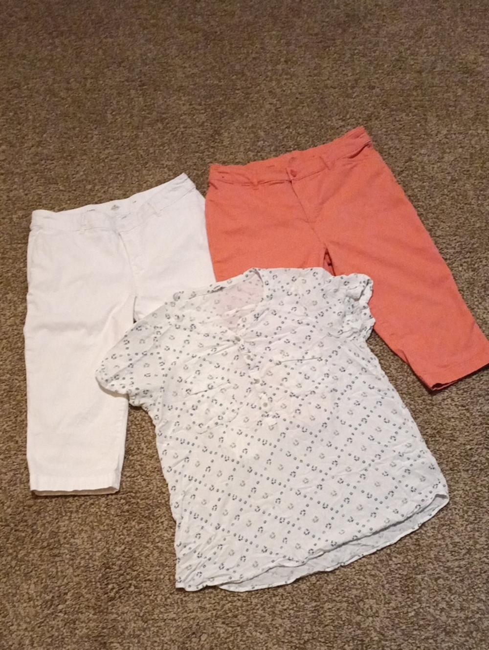 Woman Size 14 Bundle Capris & Beautiful Top
